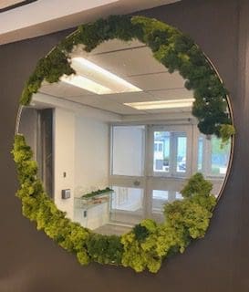 Preserved Moss Mirror